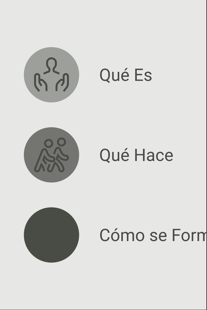 Infografía: síntesis visual de acompañante terapéutico